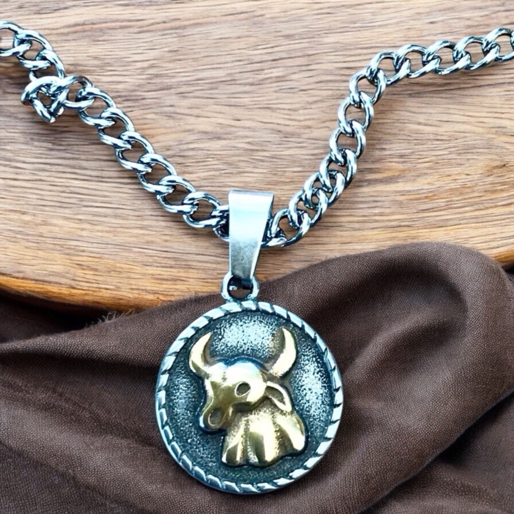 🆕 Taurus Rustic Coin Pendant Necklace Stainless Steel